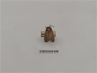 藏品(銀灰帶刺蛾)的圖片